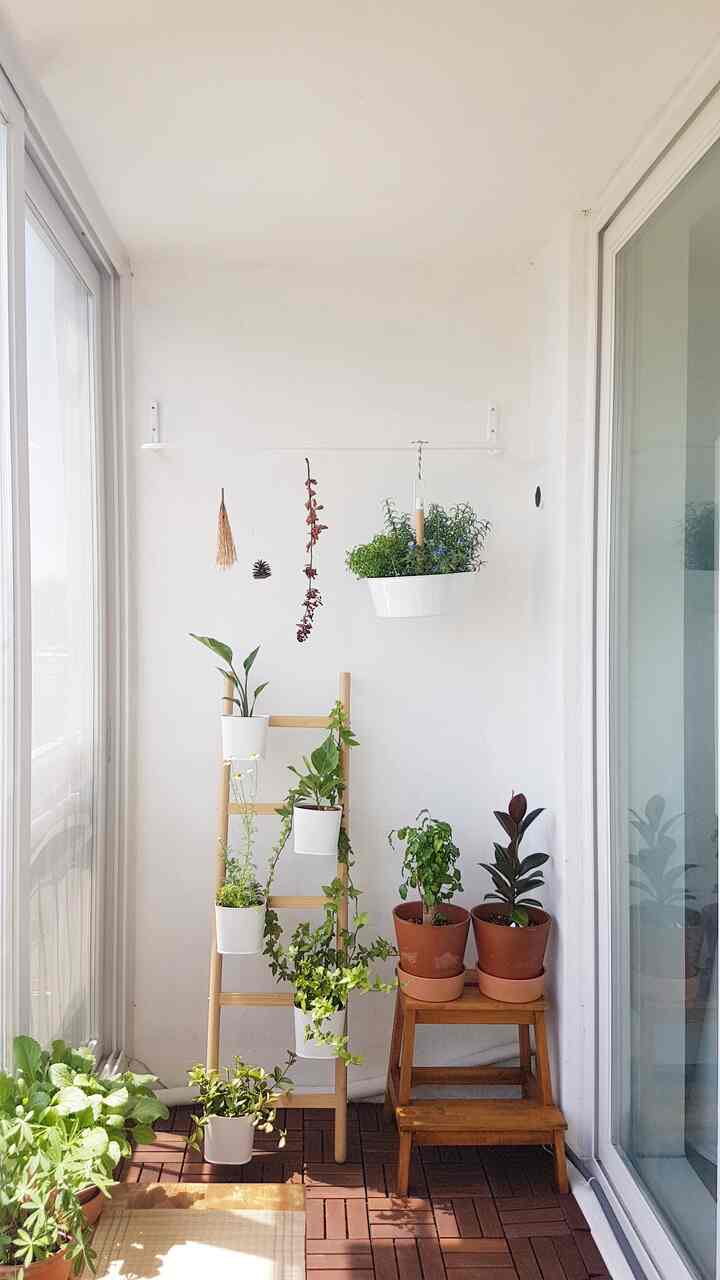 White-walled veranda featuring wood-tone furniture, multiple plants, and hanging planters creating a natural atmosphere