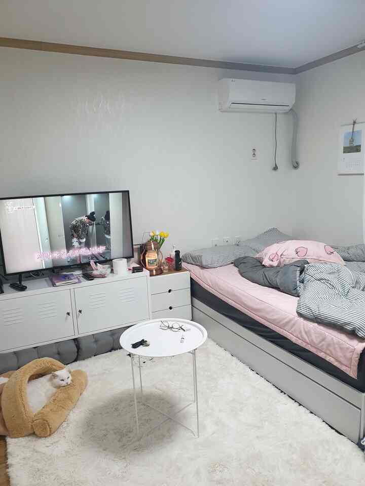 白を基調とした一人暮らしの寝室、シングルベッドとソファ、ラグの上に猫とコーヒーテーブルが配置された温かみのある空間