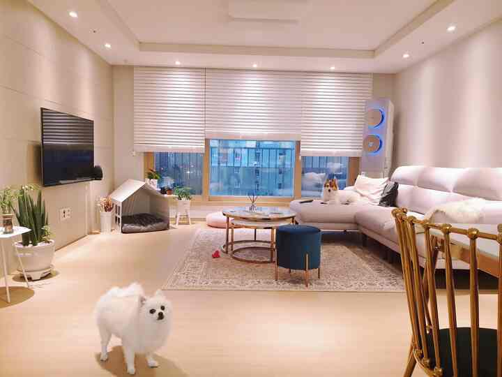 강아지 두마리와 함께사는 집이에요♡
골드와 핑크 화이트로 조화를 이뤘어요~
세가지 색상이 너무 따뜻한 느낌을 주는거 같아요 ^^♡ 
커텐을 하지않고 화이트 우드블라인드로 했더니 더욱 깔끔한느낌을 주는거같아요
강아지를 키우는 집이다보니 발톱끼임이나 털날림을 고려해서 고르게된 가구와 소품들이지요! ☺️☺️