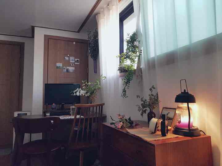 Natural-toned home office featuring wooden desk and chairs with various plants and curtains creating a cozy atmosphere