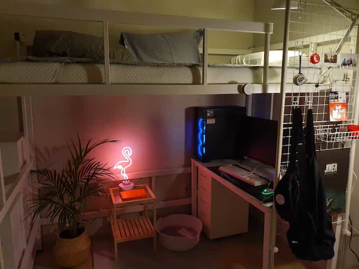 White-toned single room featuring a bunk bed, computer desk, and plant interior with cozy ambient lighting