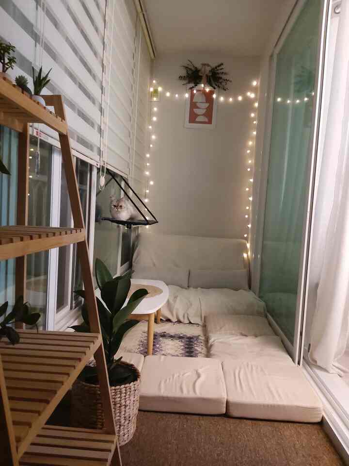 White and beige toned veranda featuring a cat, plants, and cozy home cafe setup