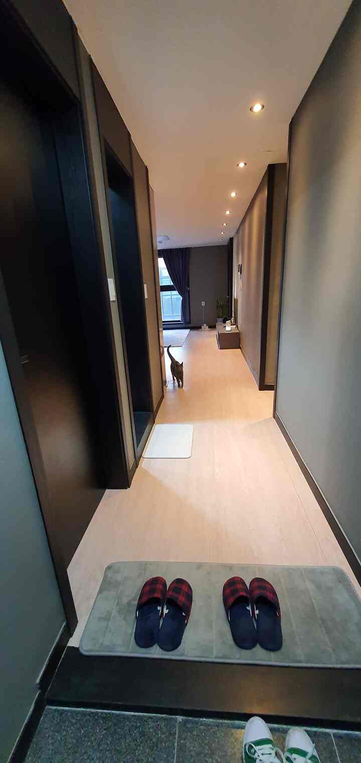 Beige-toned entrance hallway featuring diatomaceous bath mat and a cat, showcasing a modern and tidy space