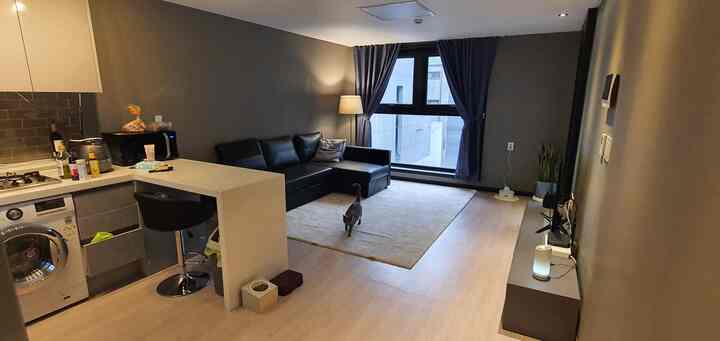 Natural modern tone studio living room featuring black sectional sofa, beige rug, and a cat creating a cozy atmosphere