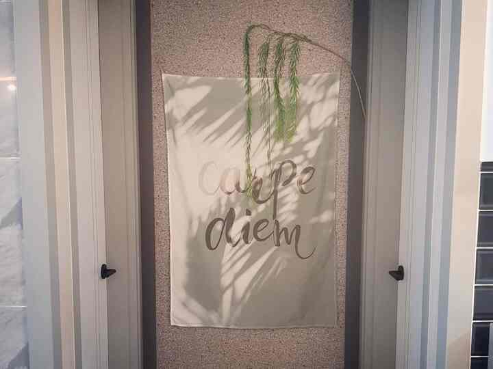 Natural-toned entrance space with lettering hanging fabric and plant placed on wall between doors creating cozy atmosphere