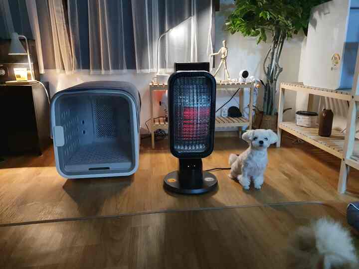 温かみのある木目調の床と植物が配置されたリビング、電気ヒーターのそばに白い犬がいる雰囲気のある空間