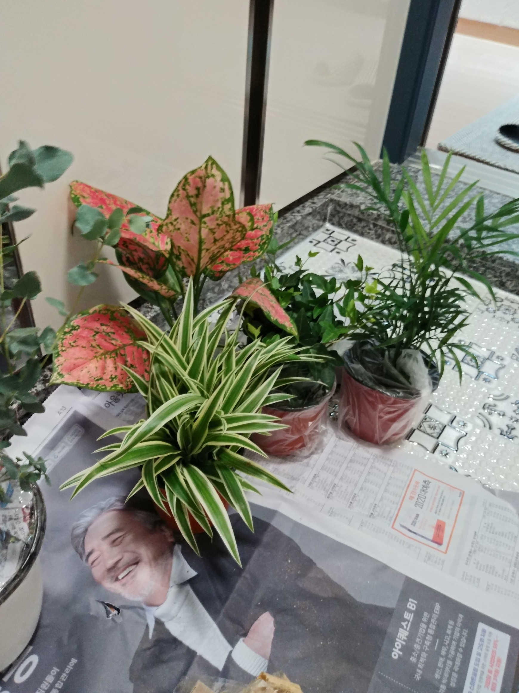 Floral 3-Compartment Food Storage Bowl Set with Lids (4-Piece) user photo