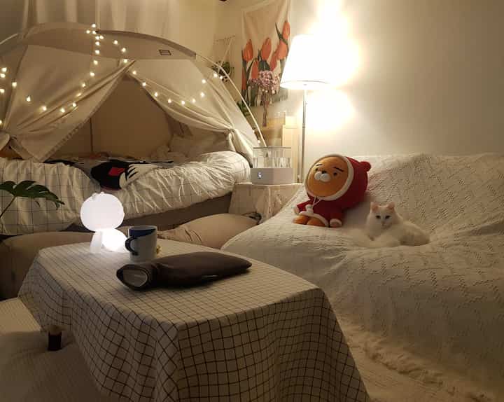 Warm beige and white tone studio bedroom featuring a heating tent and a cat resting on a sofa, creating a cozy space