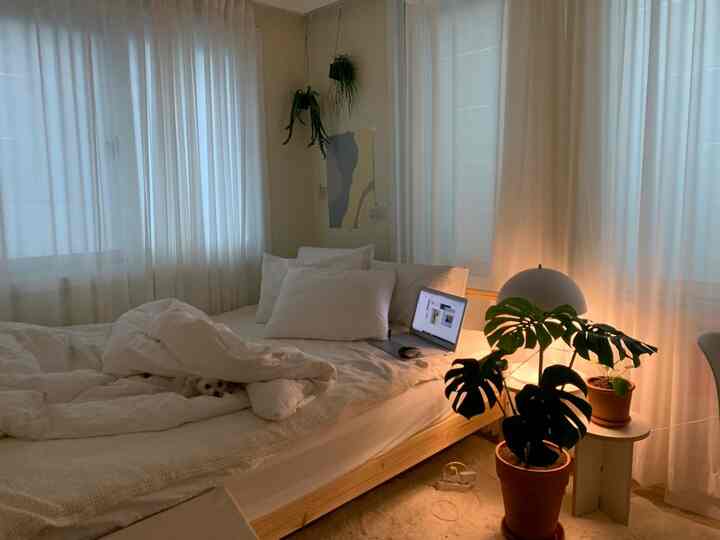 Natural-toned white bedroom featuring a Monstera plant and warm floor lamp creating a cozy atmosphere
