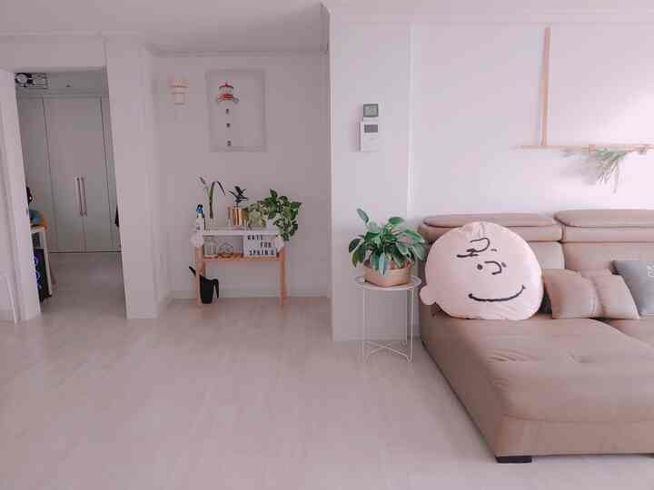 Bright natural beige-toned entrance and living room space featuring sofa and plants with cozy atmosphere