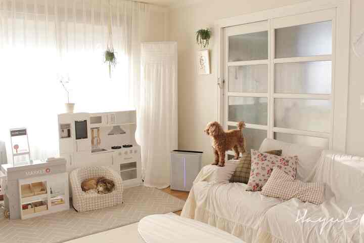 明るく穏やかなホワイトとベージュの色調のリビング、ソファの上に犬と床に猫がいる自然で暖かな雰囲気のインテリア