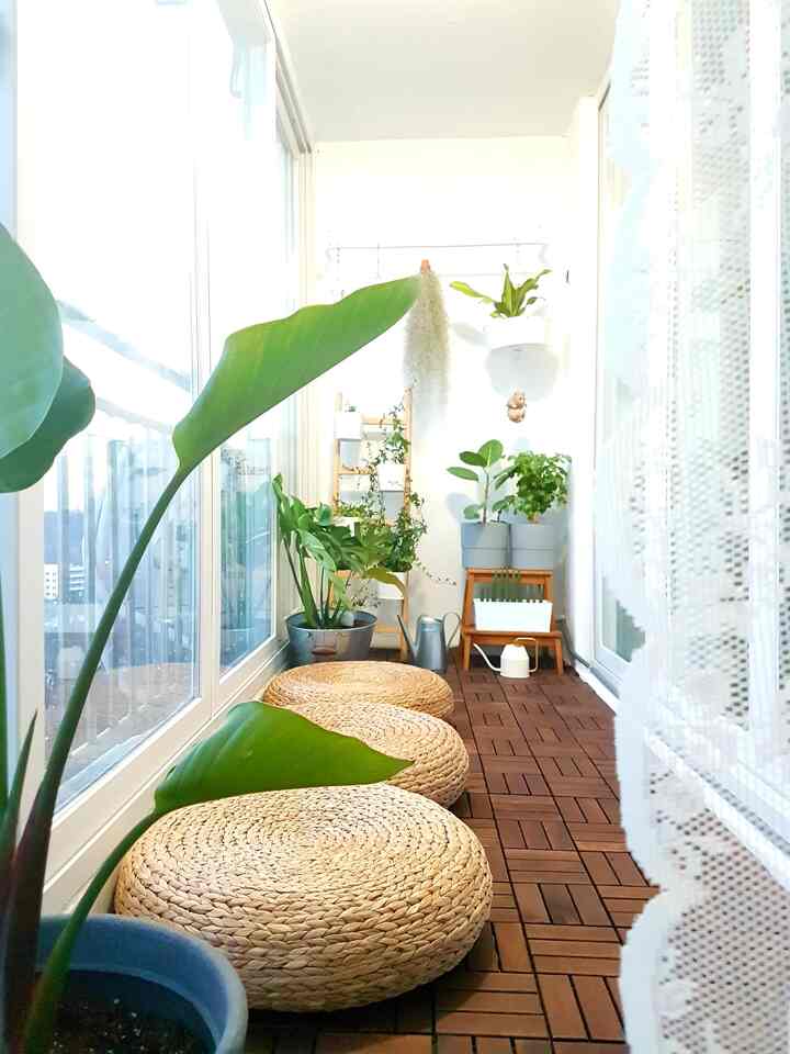 Natural color and wood tone veranda featuring plant interior and lace curtains creating a cozy atmosphere