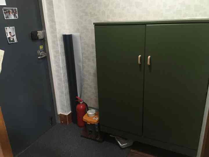 オリーブグリーンのシューズラックが置かれた狭い玄関、シンプルな木目調の取っ手がポイントの実用的な空間