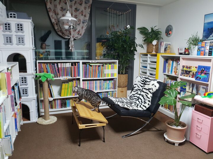 short form carousel card thumbnail