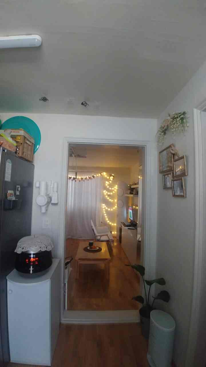 Bright and warm living-dining space viewed from white-toned entrance with wood-tone flooring, featuring coffee table and decorative lighting