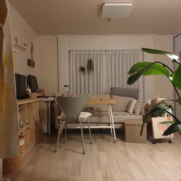 Beige and wood-toned compact living room for single household featuring simple, natural furniture and prominent indoor plant creating cozy atmosphere