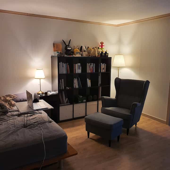 Gray and black furnished studio apartment living-bedroom with warm floor lamps creating a cozy atmosphere