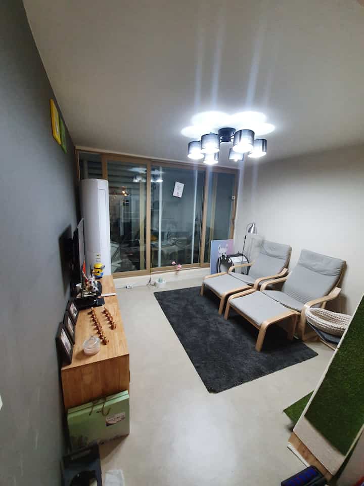 Simple, modern living room in a 30-year-old apartment featuring two wooden armchairs and a dark gray rug