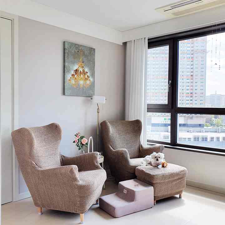 Modern living room with light brown armchairs, pet steps, white curtains and large window