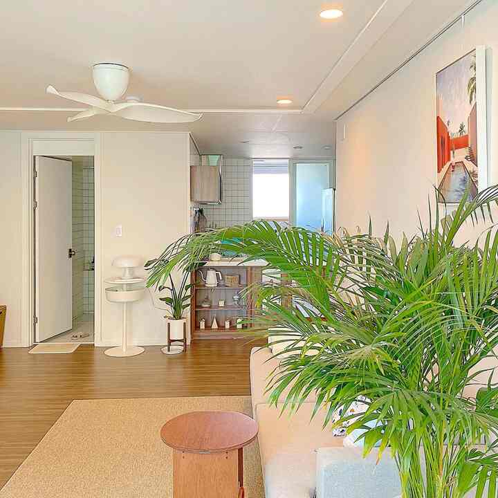Natural living room with white walls and merbau wood-toned floor, featuring plants, sofa, and rug in a cozy setting
