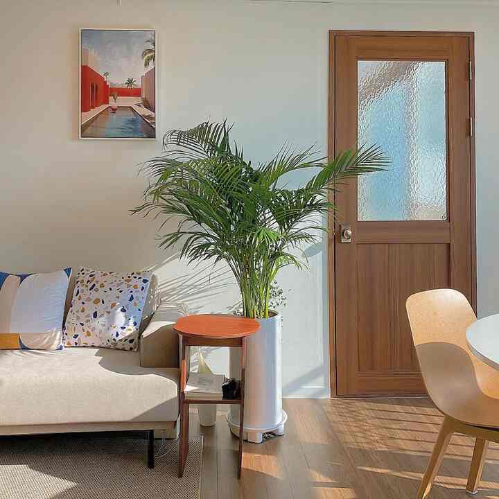 木目調のドアとベージュのソファ、植物が配置された明るく居心地の良いリビングルーム