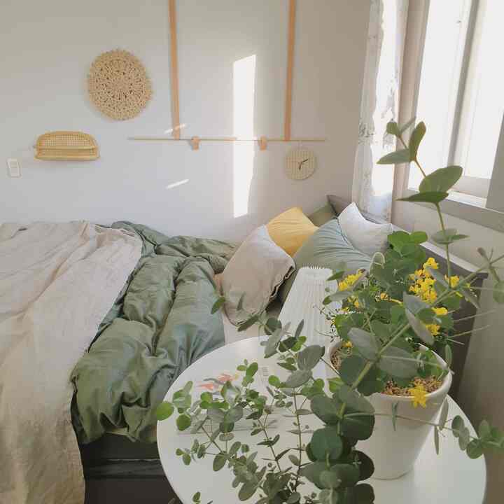 A white and green toned bedroom featuring a round table and plants with soft sunlight creating a natural atmosphere