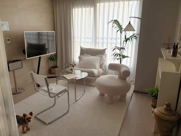 White and beige toned living room featuring unique round chair, floor lamp, and a pet dog in a cozy setting