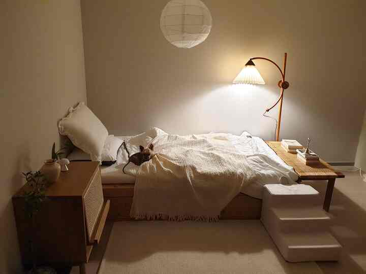 A warm ivory and wood-toned bedroom featuring a cozy bed with pet steps, a rattan bench on the side, and a soft glowing standing lamp