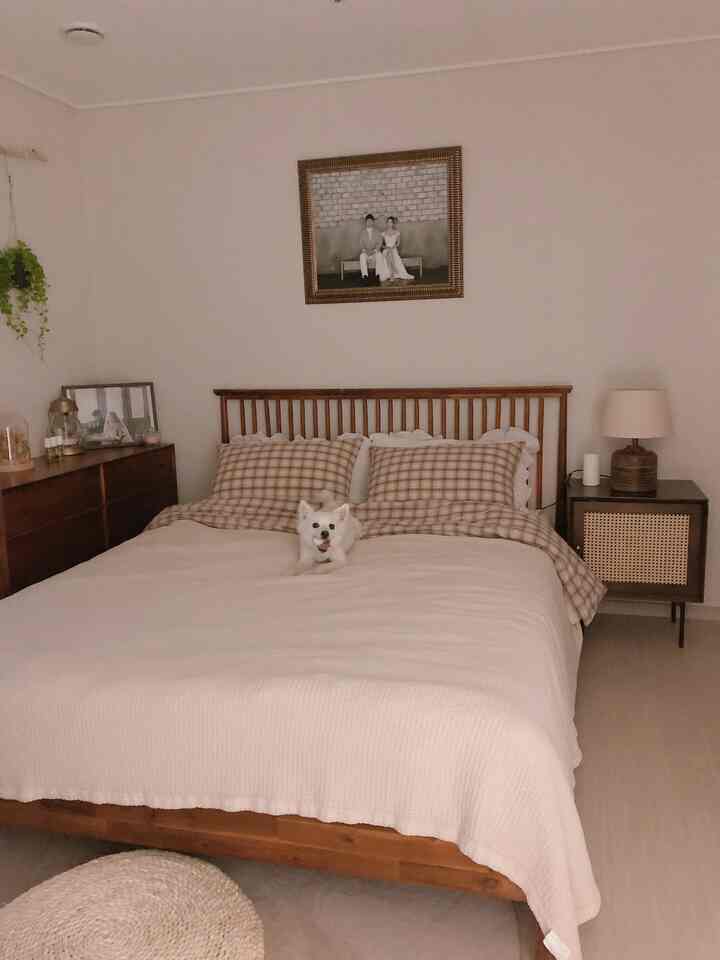 Cozy bedroom in soft beige tones featuring wooden bed and nightstands, with a small dog sitting centrally as a focal point
