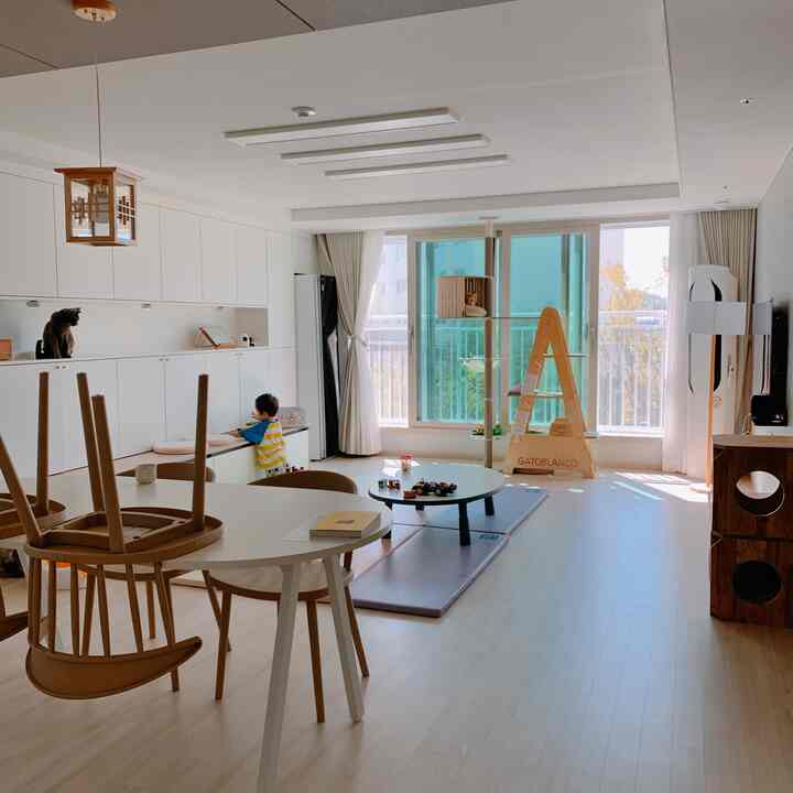 BENKU ウッド 猫用 ハウス ベンチを使ったコーディネート 1