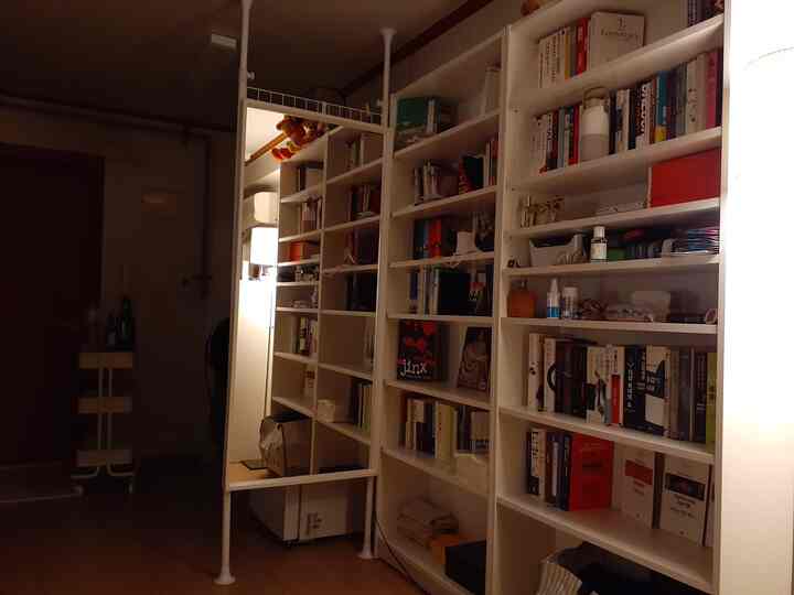 White-tone studio apartment kitchen space featuring bookshelf and mirror partition creating modern, practical division
