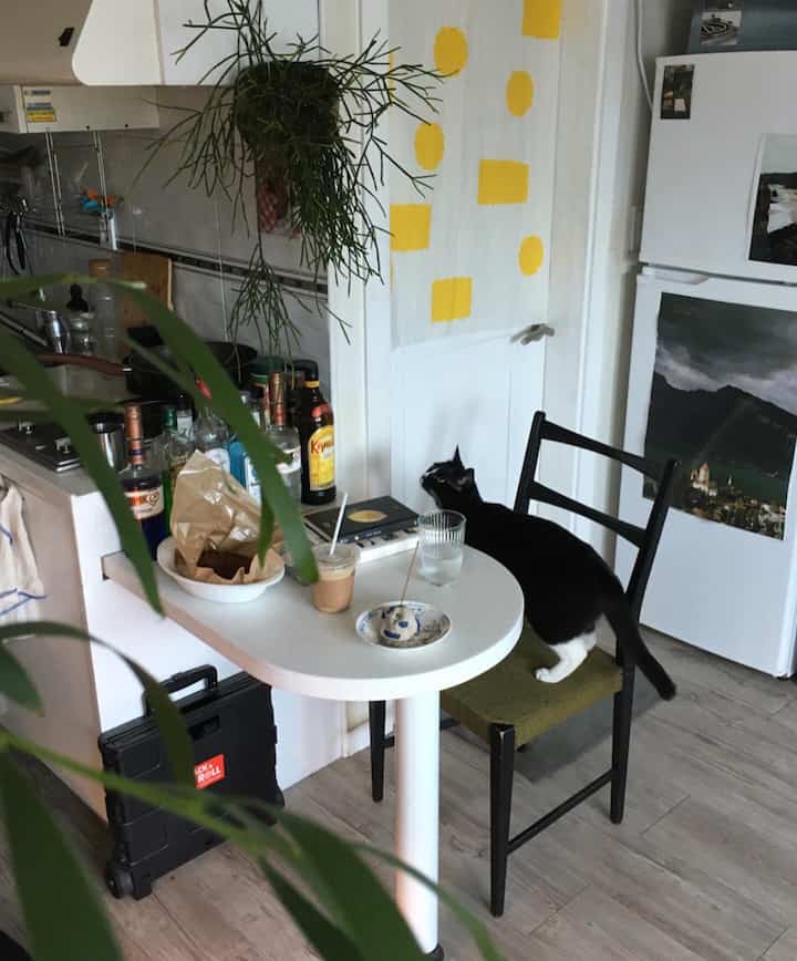 White and green toned kitchen space featuring plants and a black-and-white cat creating a cozy atmosphere
