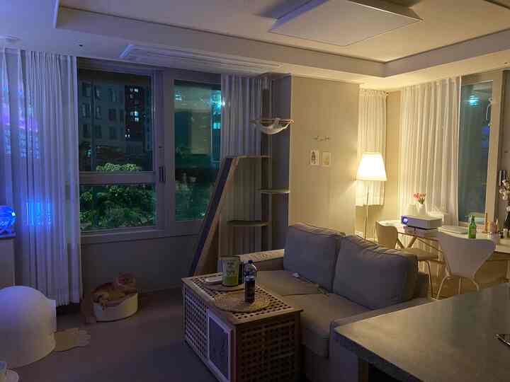 白とナチュラルな色調のリビング、キャットタワーとソファが配置された落ち着いた空間