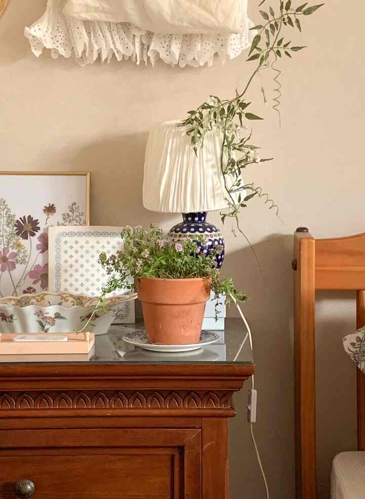 Natural tone beige-walled bedroom featuring a nightstand with terracotta pot plant, ceramic lamp, and framed floral artwork for a cozy atmosphere