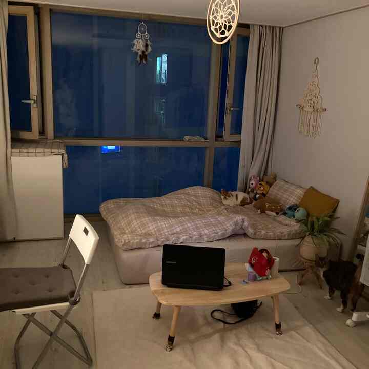 Beige-toned studio bedroom featuring a bed, folding chair, and cats, creating a cozy atmosphere