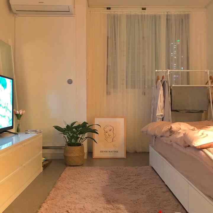 暖かいベージュとホワイトトーンのコンパクトなワンルーム寝室、植物と額縁が調和したナチュラルモダンな雰囲気のインテリア