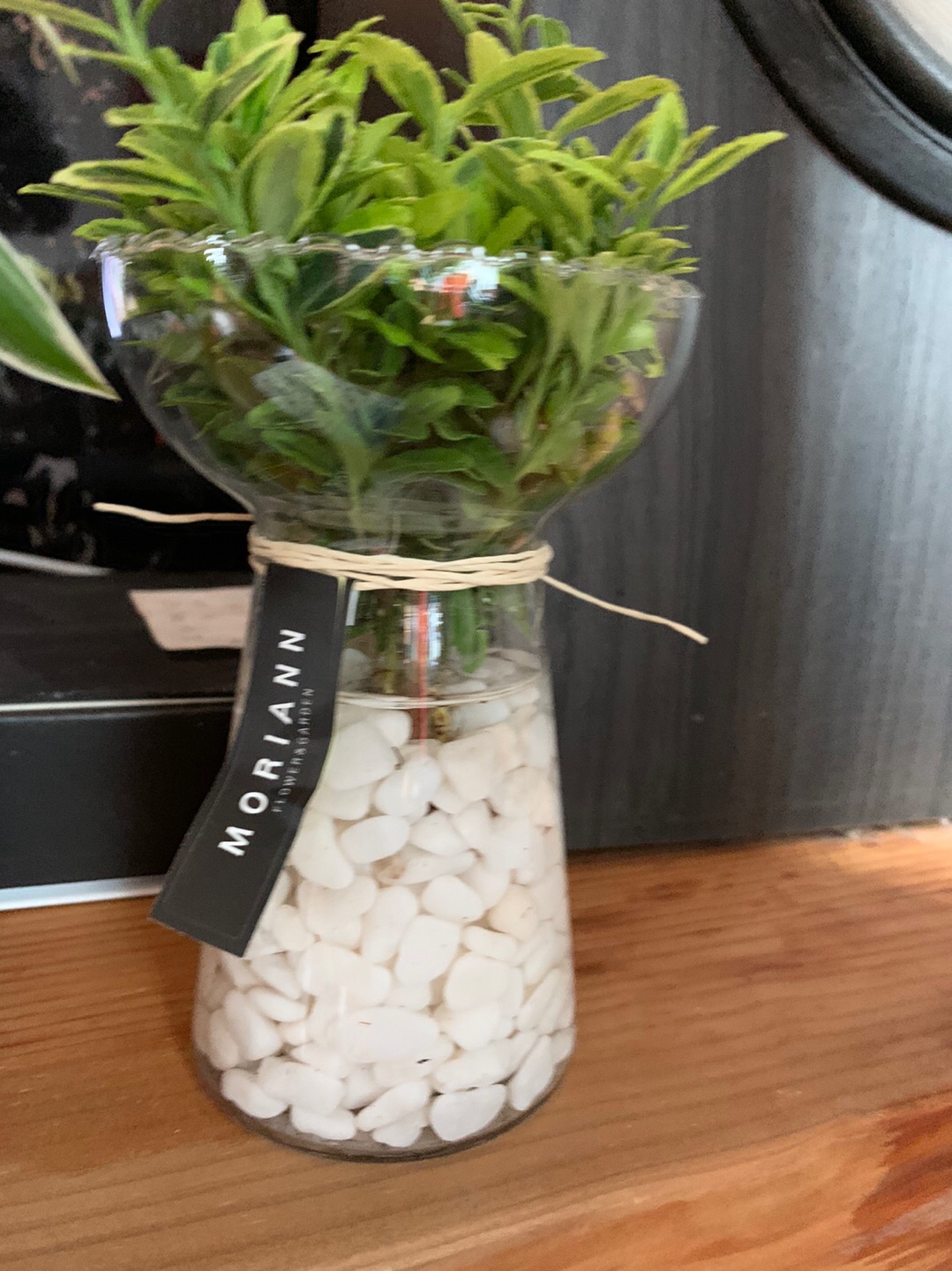 Floral 3-Compartment Food Storage Bowl Set with Lids (4-Piece) user photo