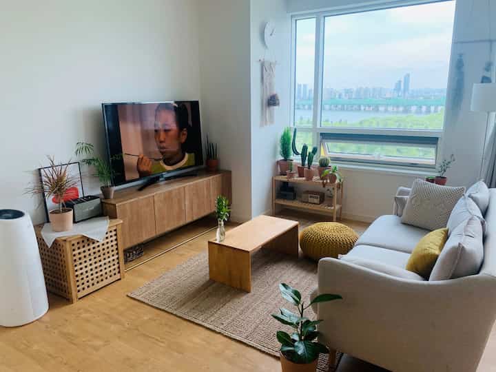 Cozy living room with natural wood tones and white walls, featuring a sofa and numerous plants