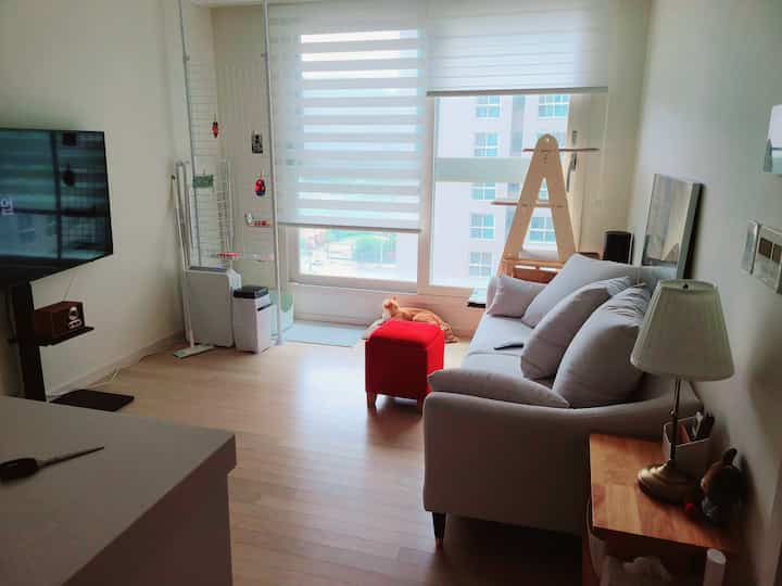 白と木目調のリビング、窓際に猫とキャットタワーが配置された自然で清潔感のあるインテリア