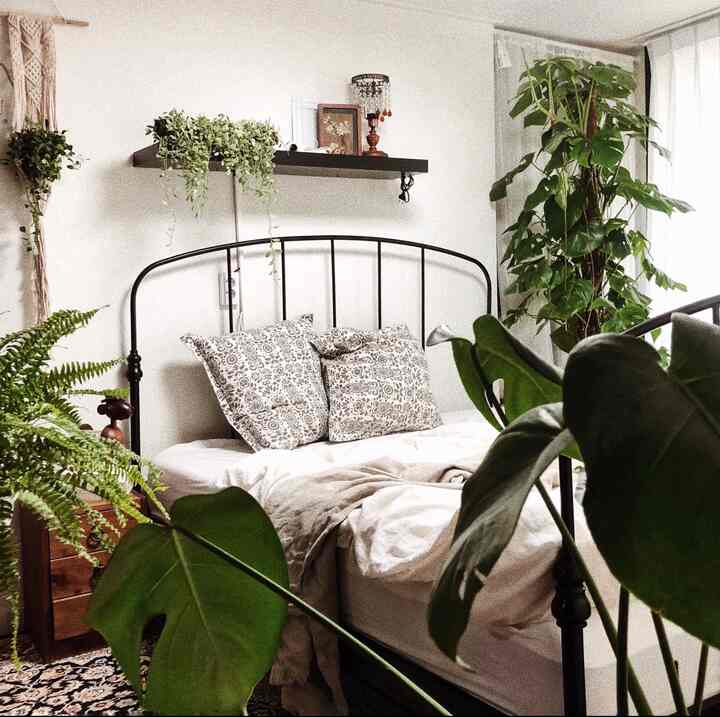White-walled bedroom featuring a black metal bed, lush plants, and macrame wall hanging creating a natural ambiance