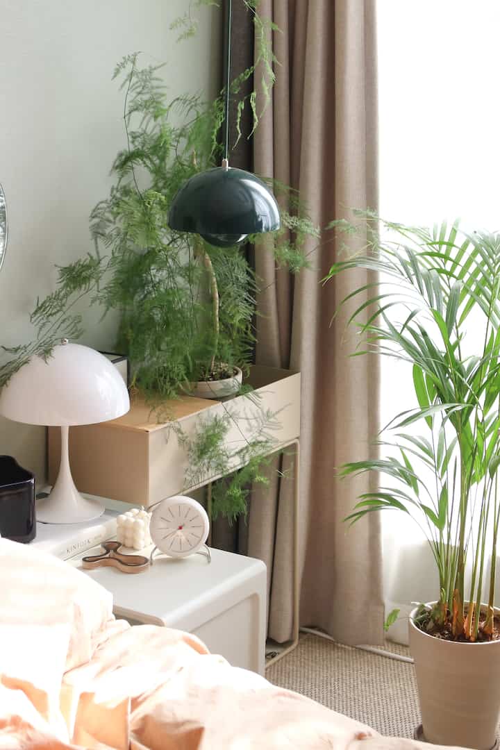 A cozy bedroom with beige curtains and natural tones, featuring a bed, nightstand, and plants