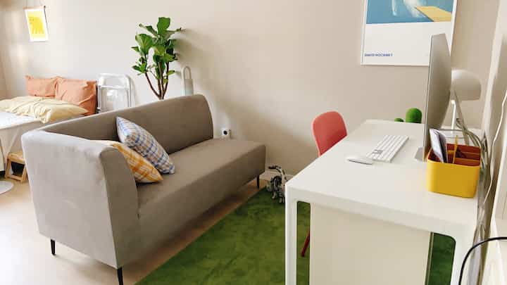 Modern and cozy studio apartment featuring grey sofa, bed, green rug, and leafy plant with compact layout