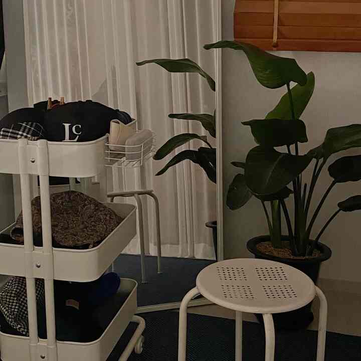Ivory-toned small space featuring a white trolley and stool, large plant, and curtains in a modern style