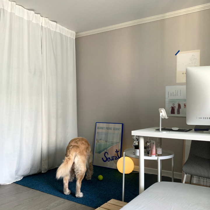 Home office space with white curtains and blue rug, featuring a desk and a dog, creating a cozy atmosphere