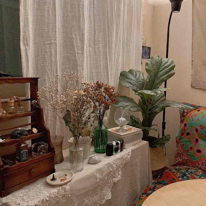 Natural-toned living room featuring vintage furniture and assorted plants with a cozy atmosphere