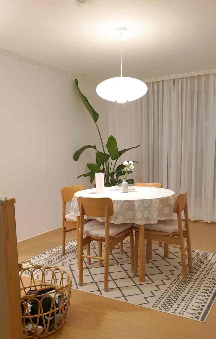 Bright beige and natural wood tone dining room featuring a round dining table with four chairs, a floor rug, and a large green plant for a warm atmosphere