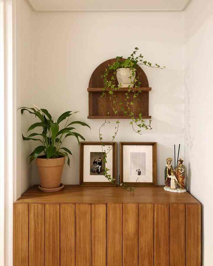 Ivory wall with brown wooden dresser and shelf featuring green plants in a natural styled space