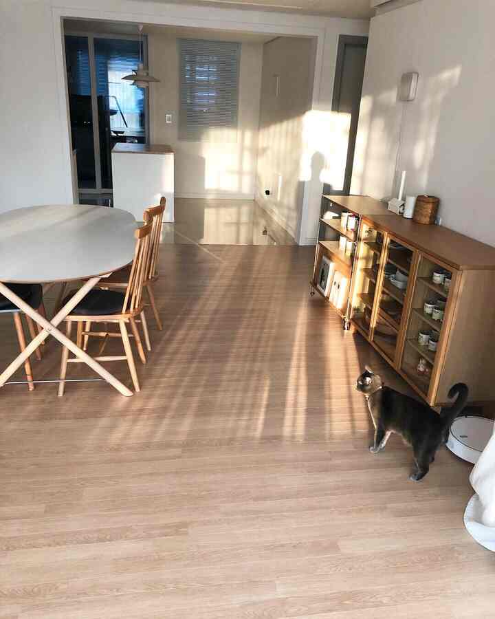 Natural wood tone and white walls harmonize in this sunlit living-dining room featuring a cat walking on the floor