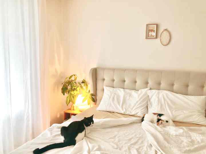 温かみのあるホワイトとナチュラルカラーの寝室、ベージュのファブリックベッドと白のリネンカーテン、くつろぐ2匹の猫がいる雰囲気のあるインテリア