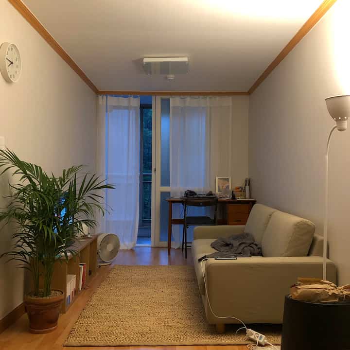 Beige natural-toned single household living room featuring sofa, wooden furniture, curtains, and a rug in a cozy space
